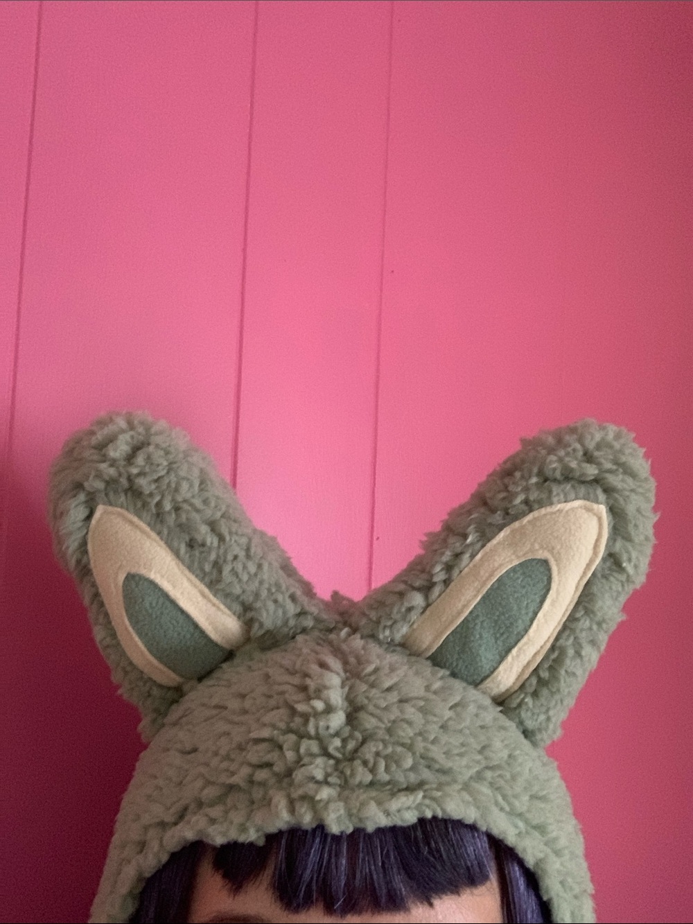 Plush Labubu Bunny Rabbit Costume Hood Hat Mint Green Fuzzy Halloween